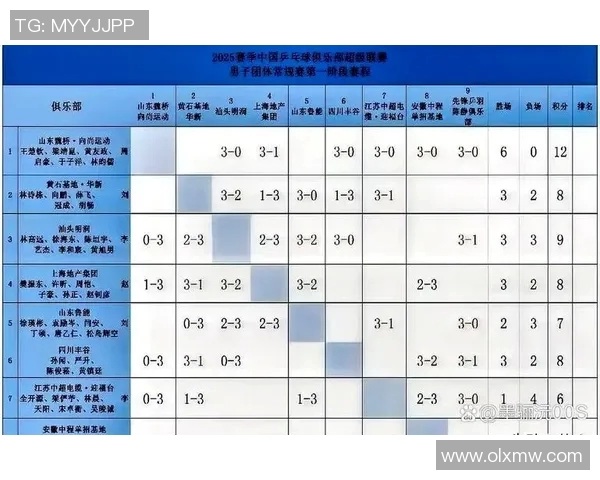 乒超联赛积分榜最新动态分析及各队表现评估
